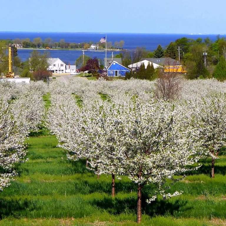 Annual Door County Cherry Blossoms stats May 23 Beantown Campground